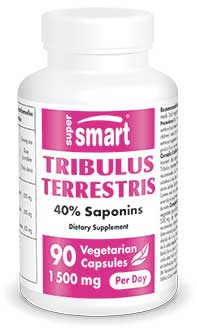 Tribulus Terrestris 500 mg