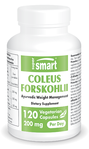 Integratore alimentare di Coleus forskohlii 