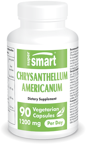 Chysantellum Americanum suplemento alimentar