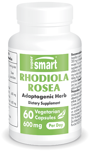 Rhodiola Rosea dietary supplement, adaptogenic herb