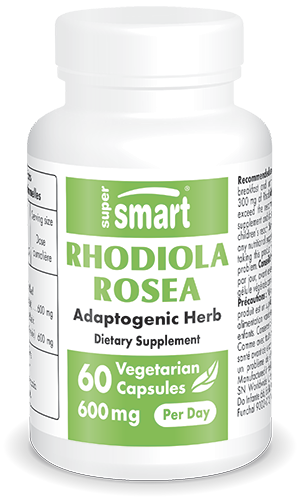 Rhodiola rosea