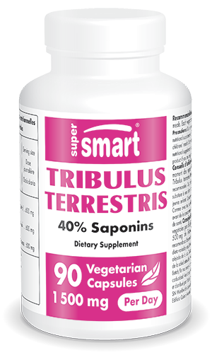 Complément alimentaire Tribulus Terrestris, 40% de saponines
