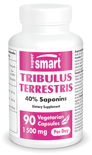 Tribulus Terrestris suplemento alimentar, 40% saponinas