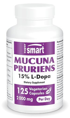 Mucuna pruriens dietary supplement, 15% L-Dopa