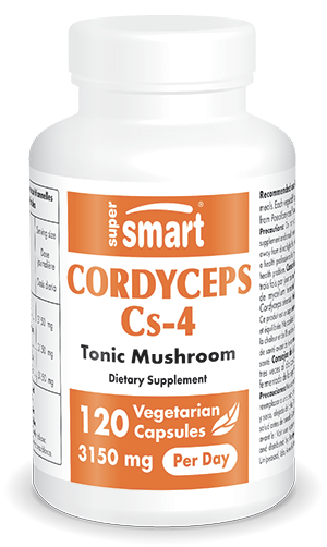 Complemento de extracto de hongo Cordyceps