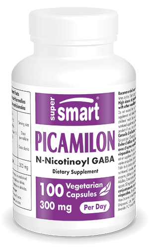 Picamilon Supplement