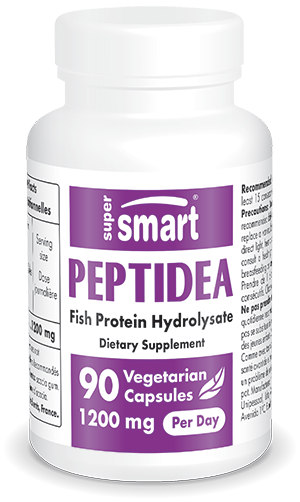 Peptidea Nahrungsergänzungsmittel