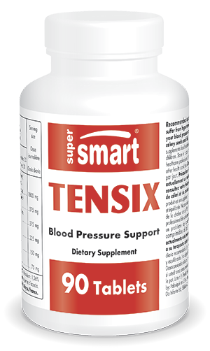 Tensix Supplement