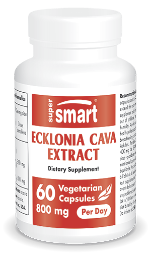 Ecklonia Cava Extract Supplement