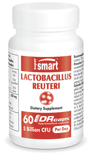 Lactobacillus reuteri