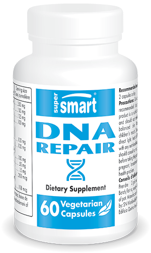 DNA Repair Supplement