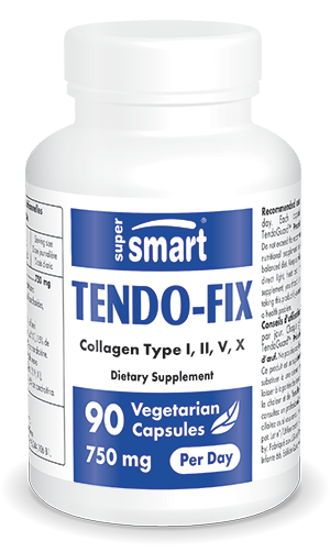 Tendo-Fix 250 mg