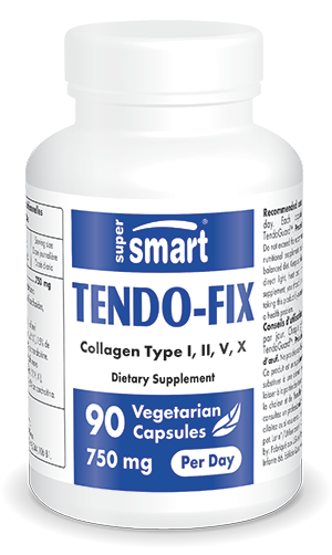 Tendo-Fix Supplement