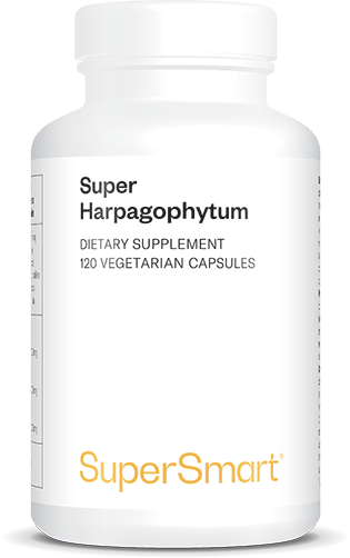 Nahrungsergänzungsmittel aus Harpagophytum