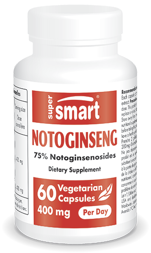 Notoginseng 200 mg | 60 Vegt. Capsules - Supersmart