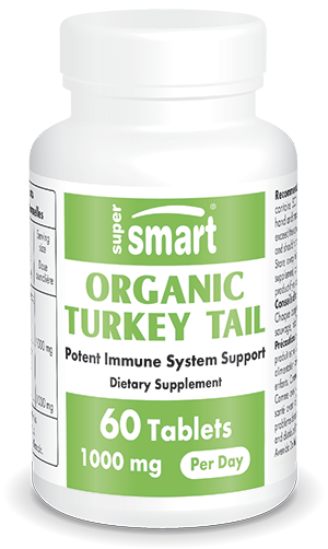 Organic Turkey Tail | 60 comprimés - Supersmart
