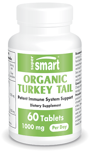Pot containing Turkey Tail mushroom supplement