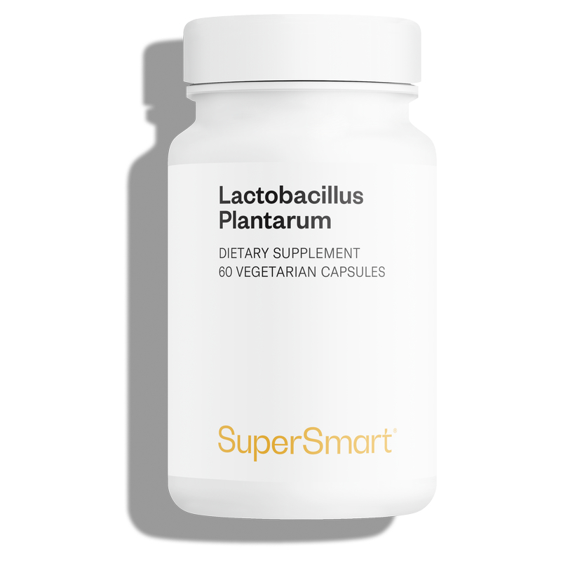 Lactobacillus Plantarum Postbiotique - 1er Immunobiotique - Breveté - Immunité - Supersmart