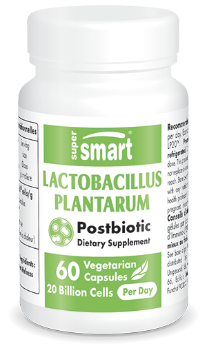 Probiotico Lactobacillus plantarum HK L-137