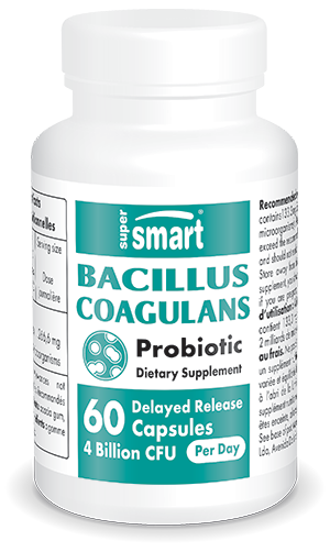 Probiotic Bacillus coagulans