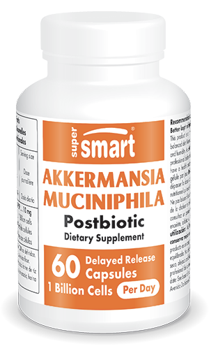 Probiotic Akkermansia Muciniphila Postbiotic