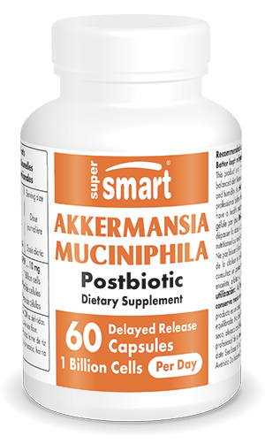 Probiotyk Akkermansia Muciniphila Postbiotic