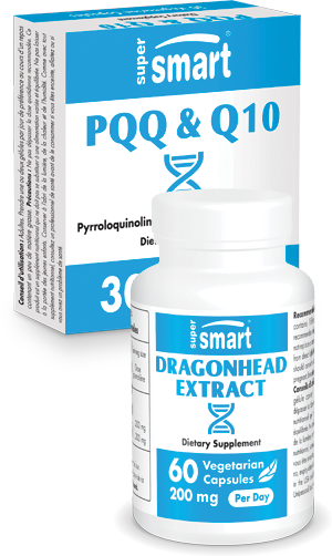 Dragonhead Extract + PQQ&Q10