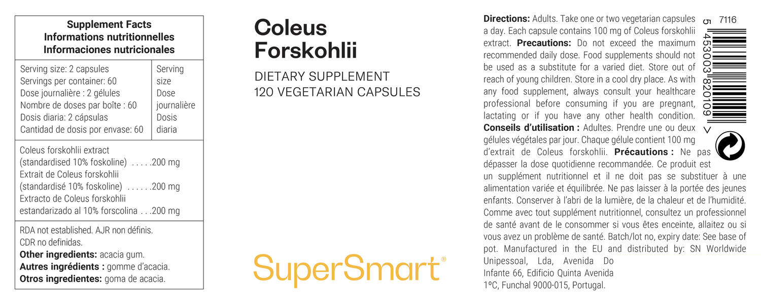 Coleus Forskohlii suplemento alimentar ayurvédico, contribui para a gestão do peso