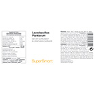 Probiótico de Lactobacillus plantarum HK L-137