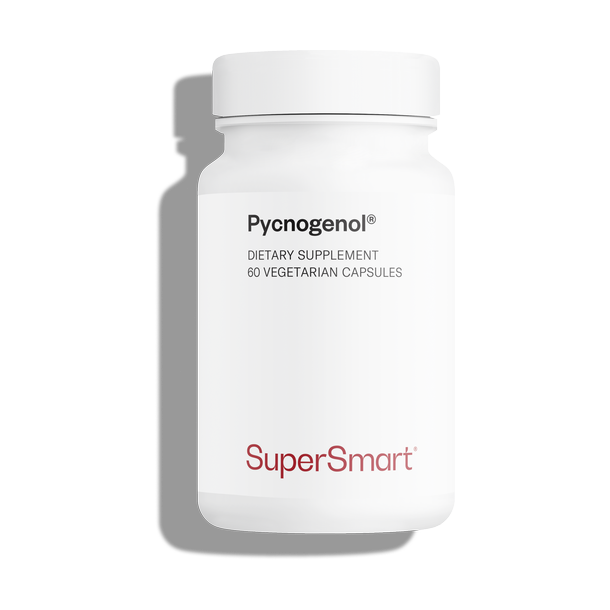 Pycnogenol® suplemento alimentar, extrato de pinheiro marítimo