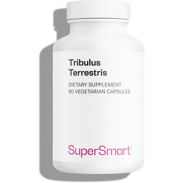 Complemento alimenticio Tribulus Terrestris, 40% de saponinas