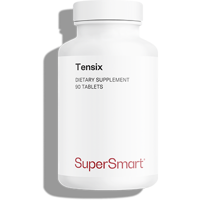 Tensix Supplement