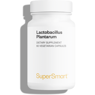 Probiotique de Lactobacillus plantarum HK L-137