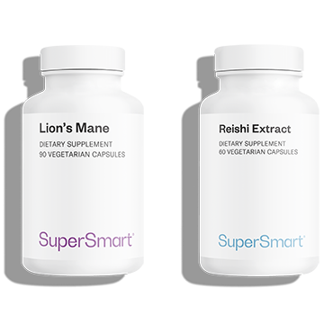Lion's Mane + Reishi Extract