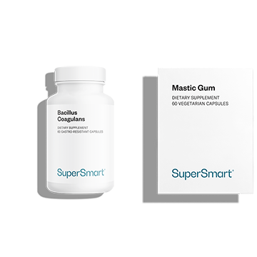 Bacillus Coagulans Probiotic+Mastic Gum