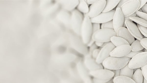 Alimentos ricos em magnésio