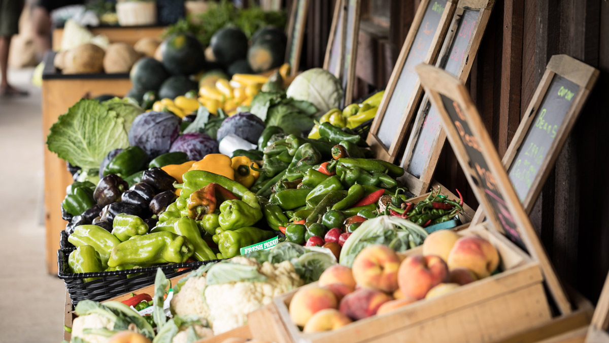 Conserver fruits et légumes