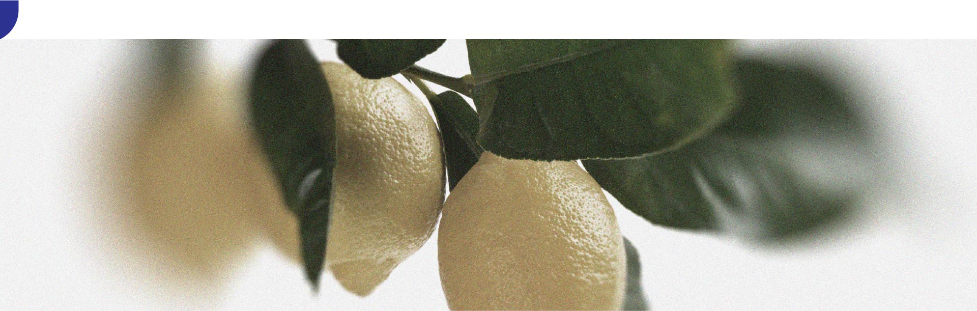 Which foods can relieve tendonitis