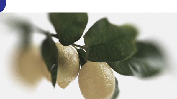 Which foods can relieve tendonitis