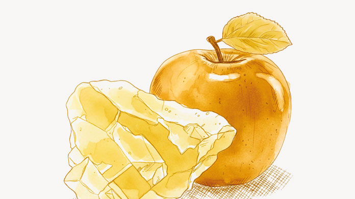 Le malate de magnésium a une biodisponibilité élevée