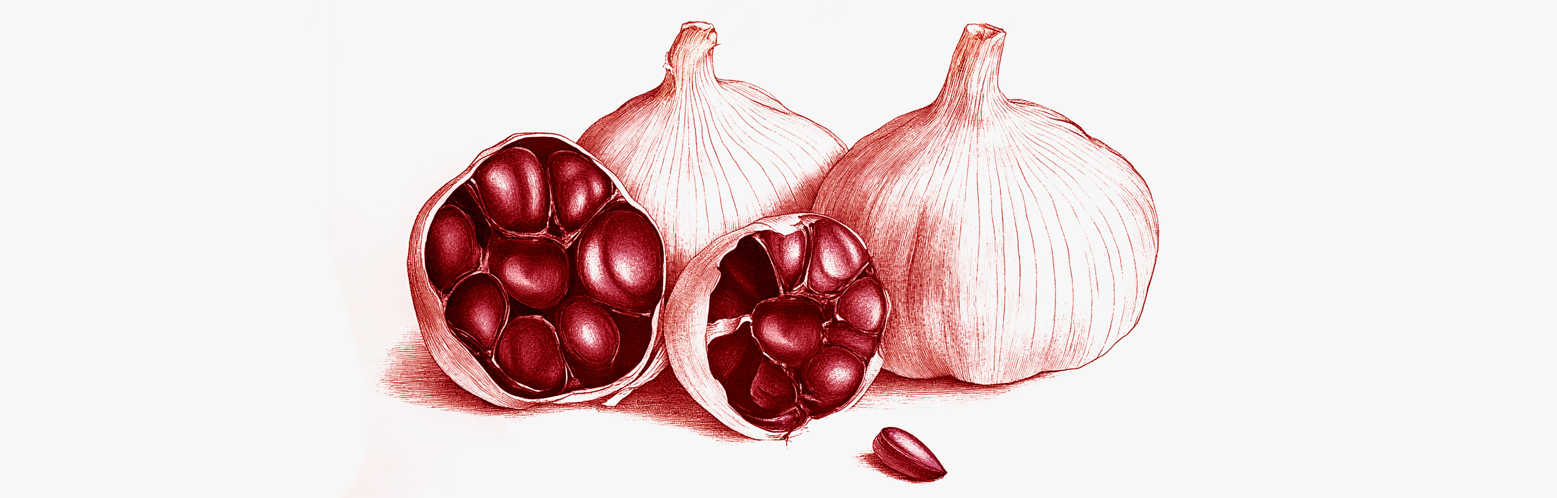 Gefermenteerde zwarte knoflook 