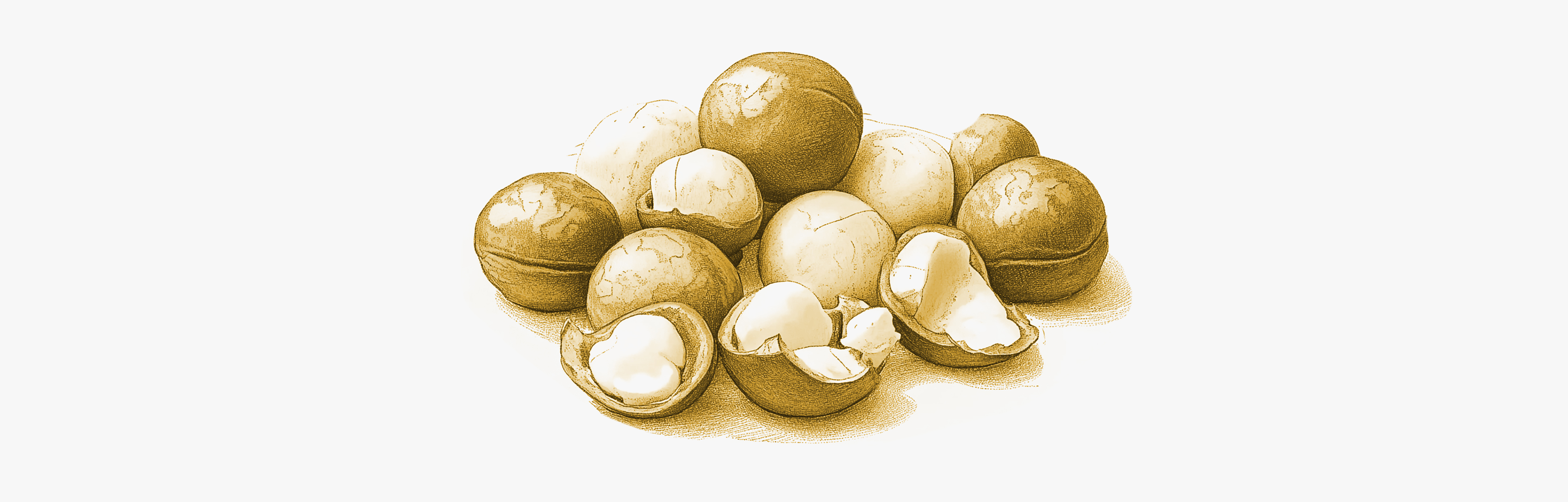 Alimenti con il più alto contenuto di vitamina B1