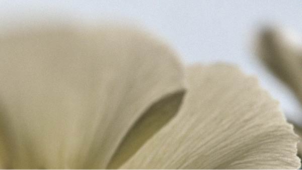 Factoren die de mannelijke vitaliteit kunnen beïnvloeden