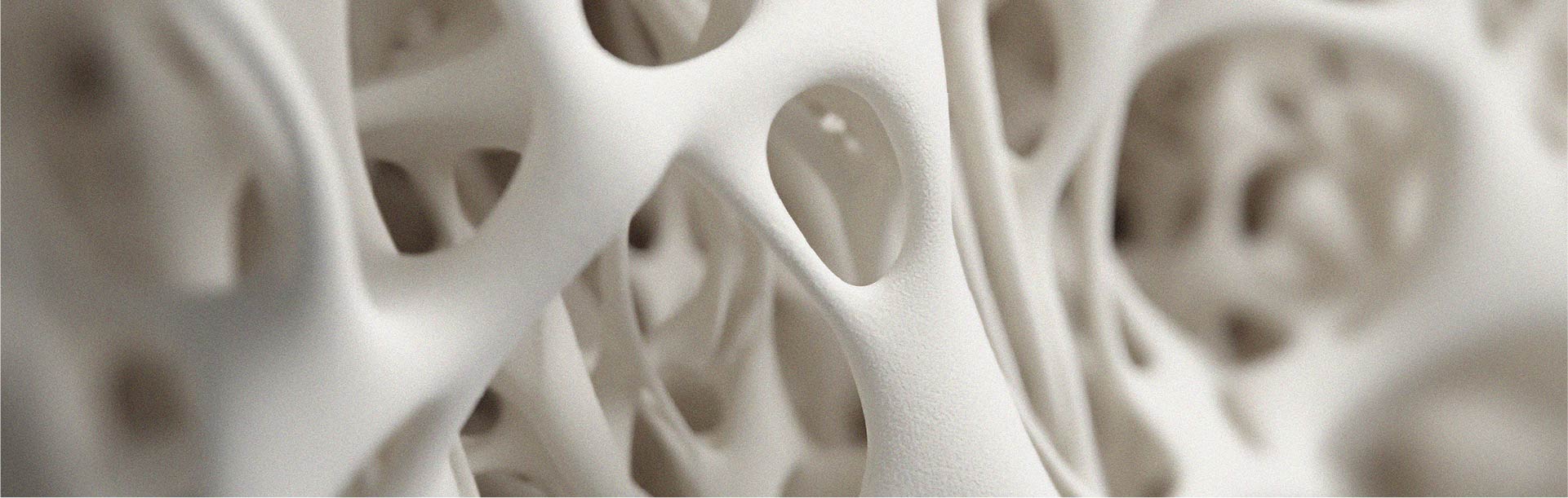 How diet can influence joint health