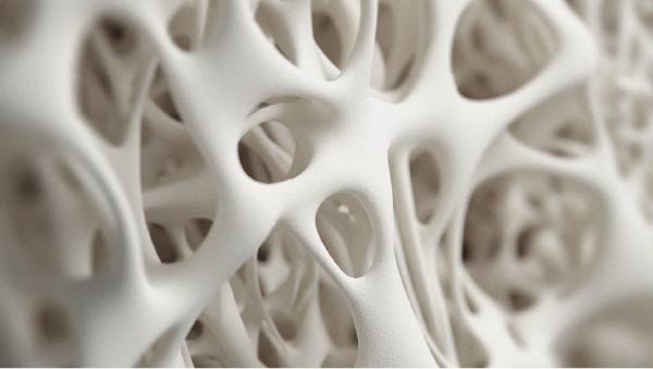 Comment l’alimentation peut influencer la santé articulaire