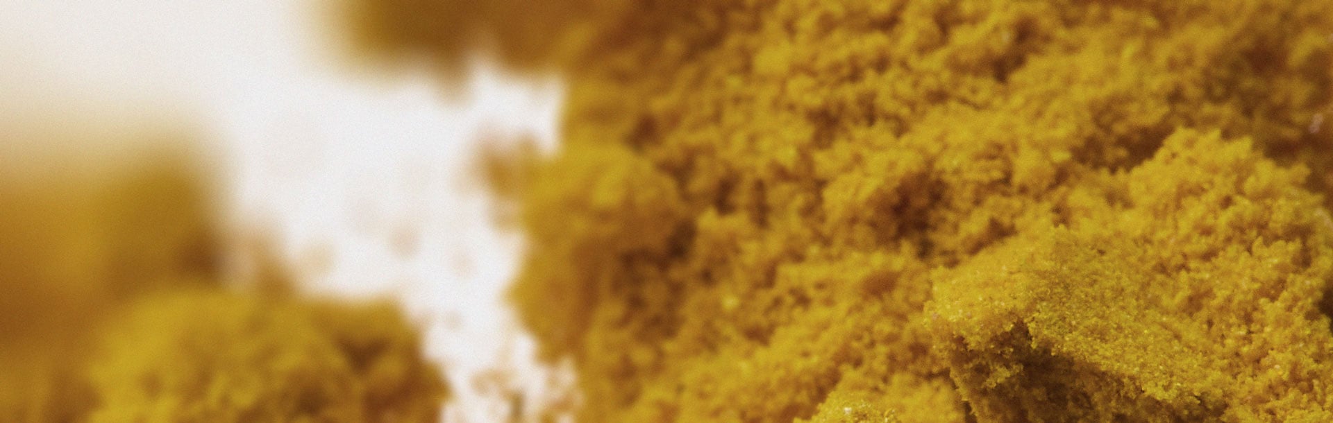 Selon une étude, le curcuma et la boswellia pourraient aider à soulager l’arthrose des mains