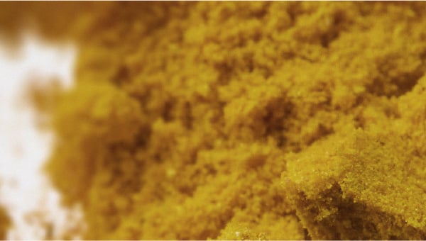 Selon une étude, le curcuma et la boswellia pourraient aider à soulager l’arthrose des mains