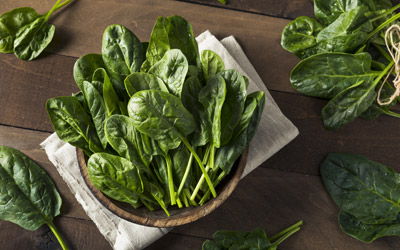 Bowl of fresh spinach