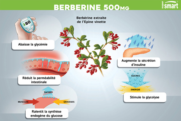 5 avantages de la berbérine