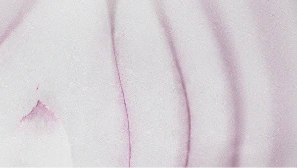 Quercetin may be beneficial for the skin